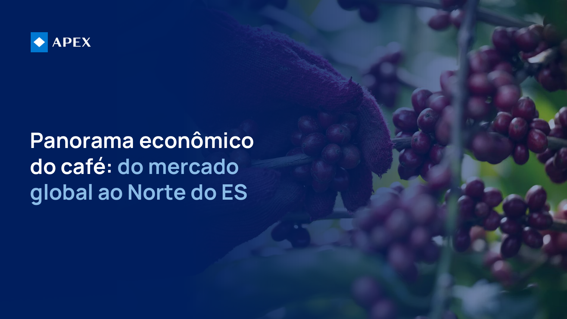 Apresentação Café